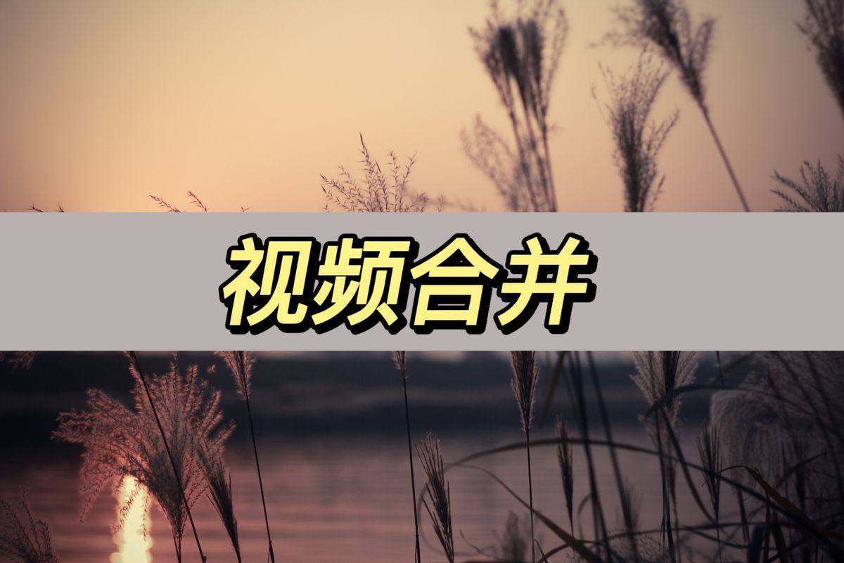 视频合并，分享一个方法快速视频合并