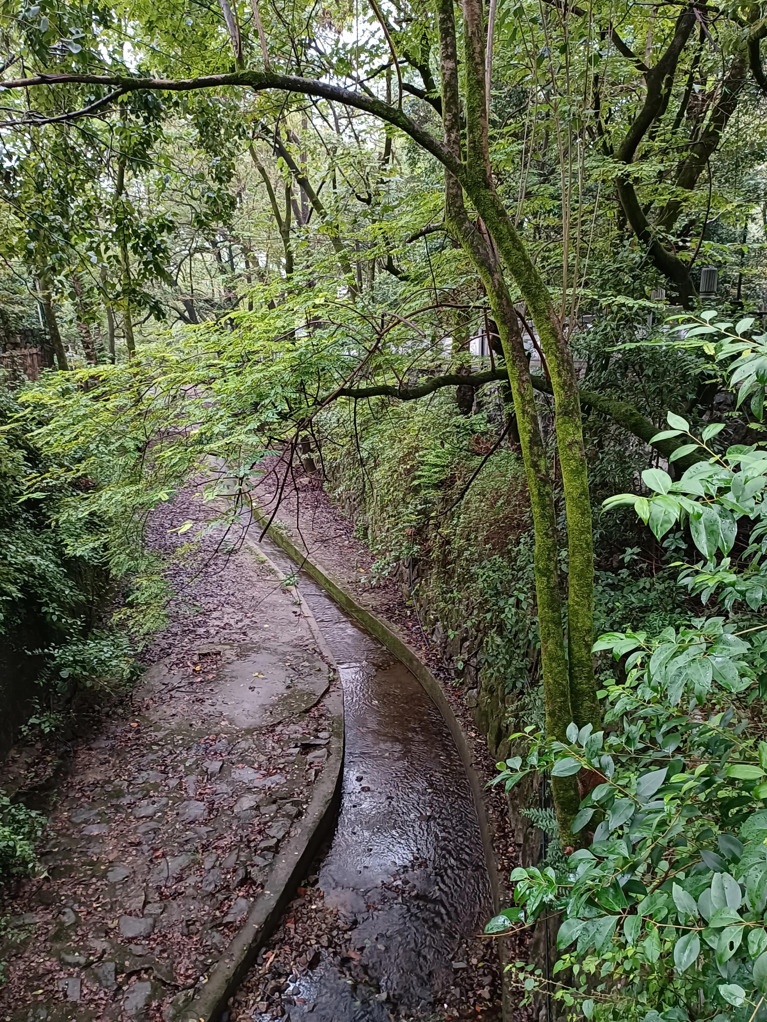 行到水穷处，坐看云起时一一雨游白云山