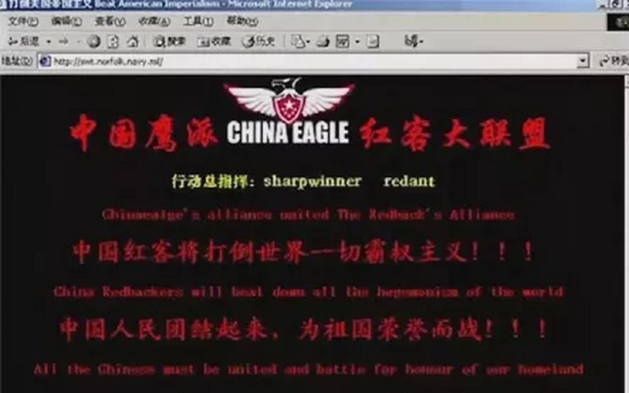 "最牛黑客"林勇:率8万黑客将白宫官网插满国旗,老美亲自道歉