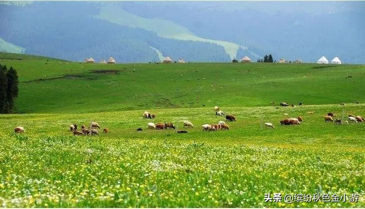 新疆有什么好玩的（新疆有什么好玩的地方旅游景点）-第3张图片-科灵网