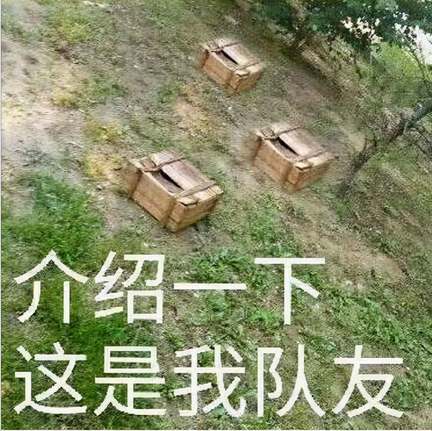 超低延迟，畅享吃鸡快感——QCY G1电竞蓝牙耳机