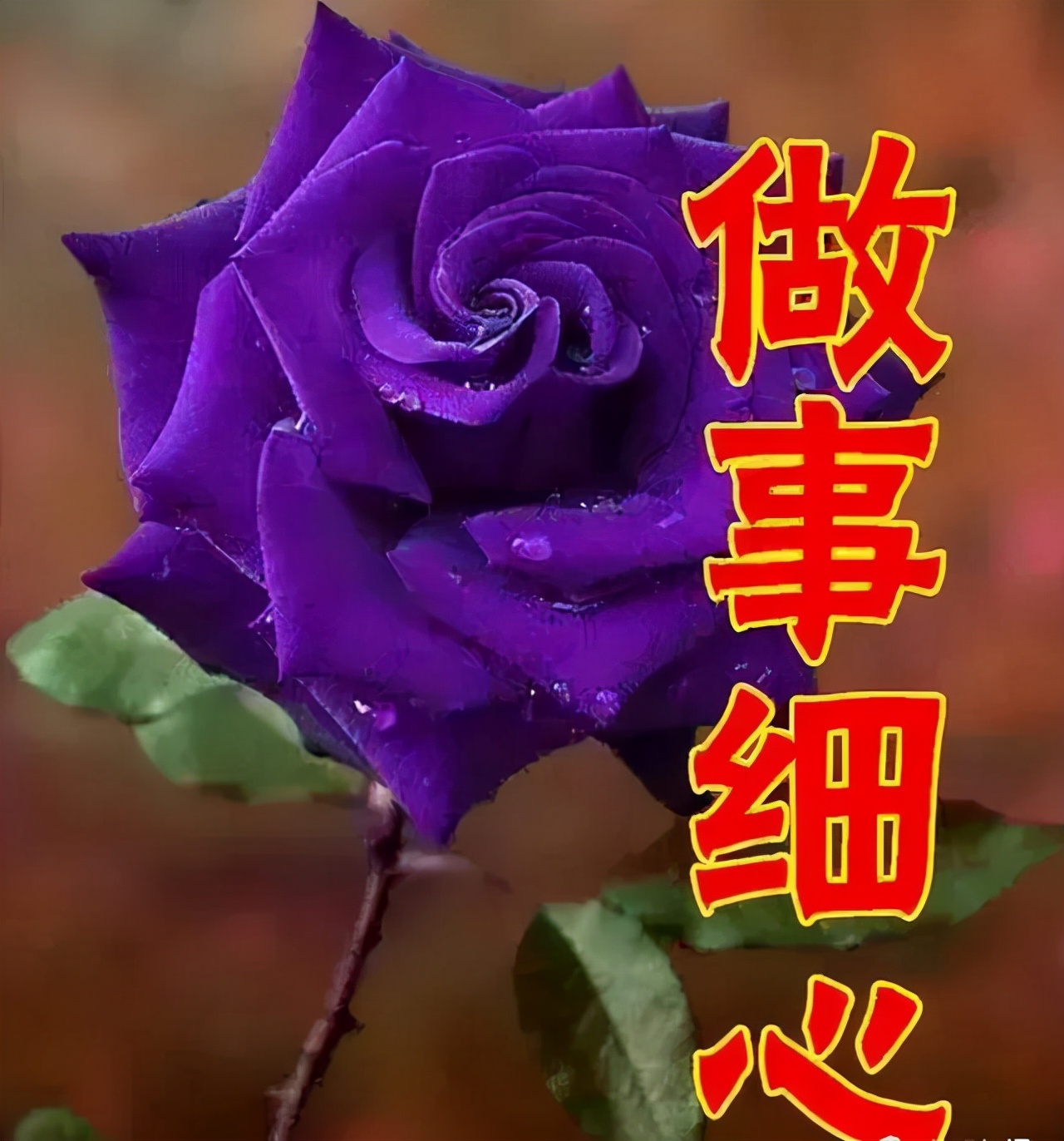 女神节｜最美的祝福送给你，全天下的女神们，祝你们节日快乐