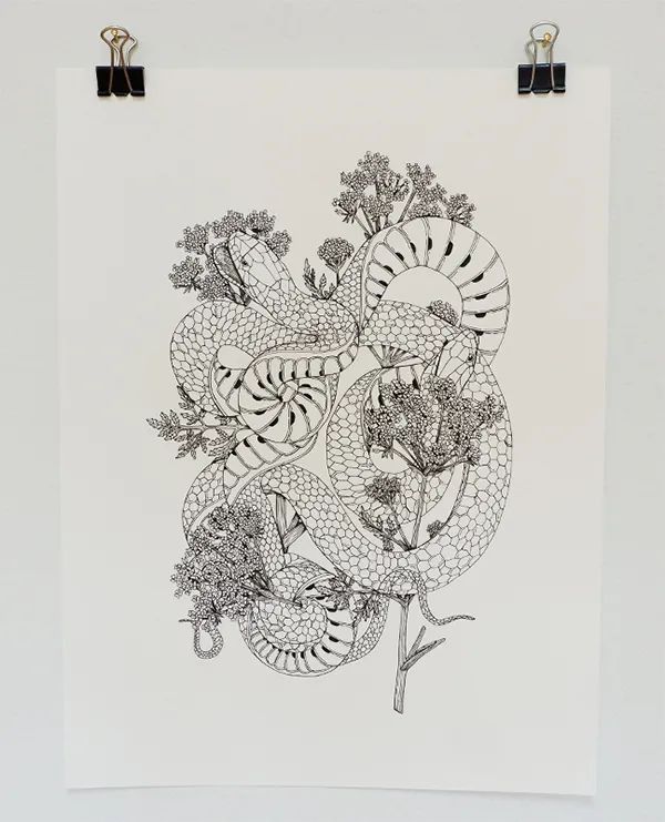 2021年帕森斯设计学院插画设计毕业展（BFA）