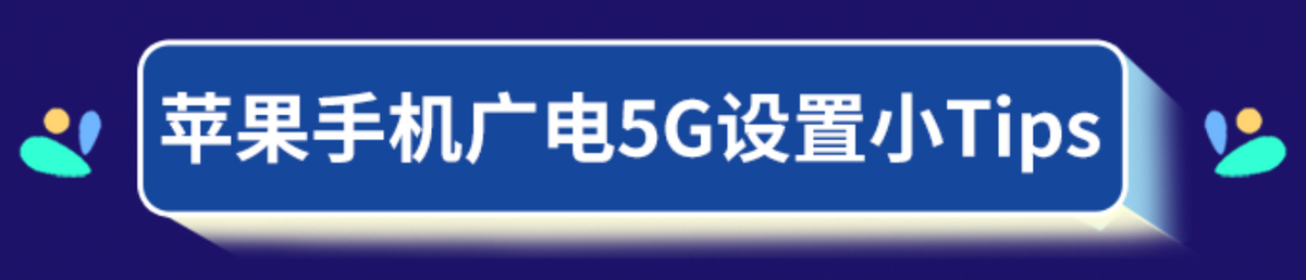 苹果怎么设置5g网络（苹果手机设置5g网络怎么设置）-第4张图片-巴山号