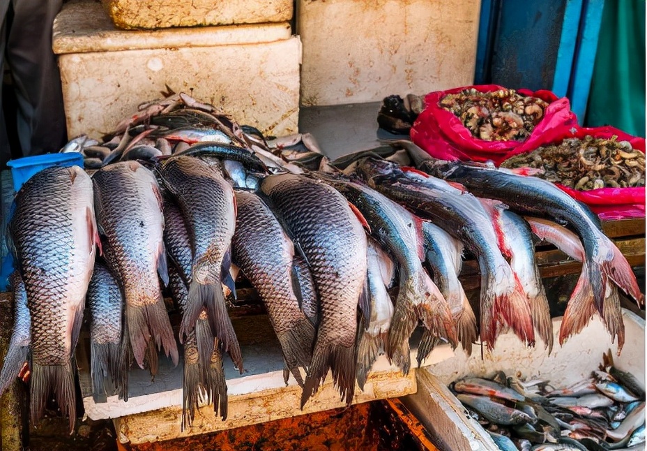人为“改造”出来的3种鱼，如今在南方市场常见，价格还都不便宜