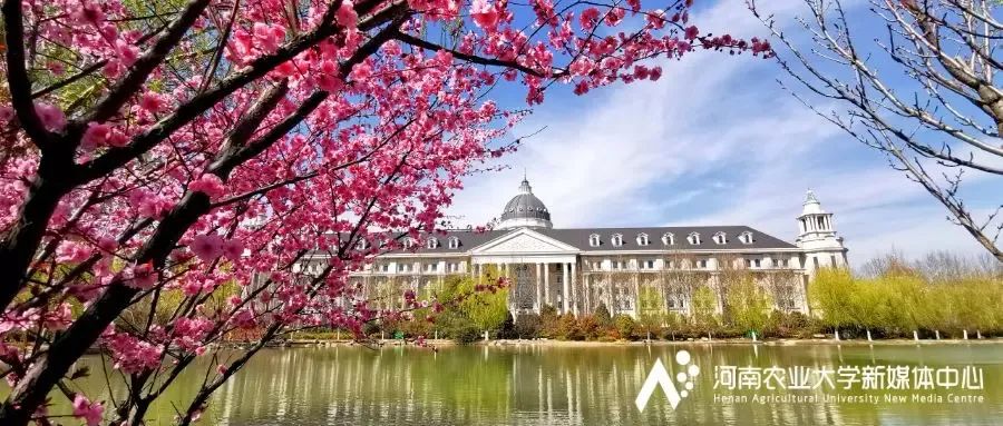 倒计时100天！河南农大120岁生日又近了