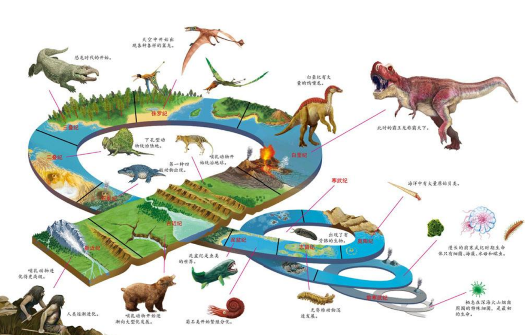 4亿年前，恐龙和人类还未诞生，那时的地球是什么样子？