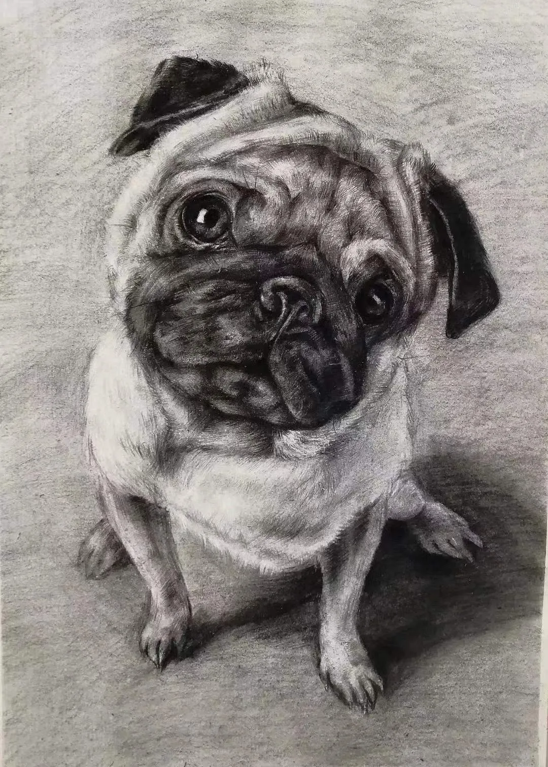 唐河县育才实验学校本科艺体类考生上线率73.6% 如何做到的