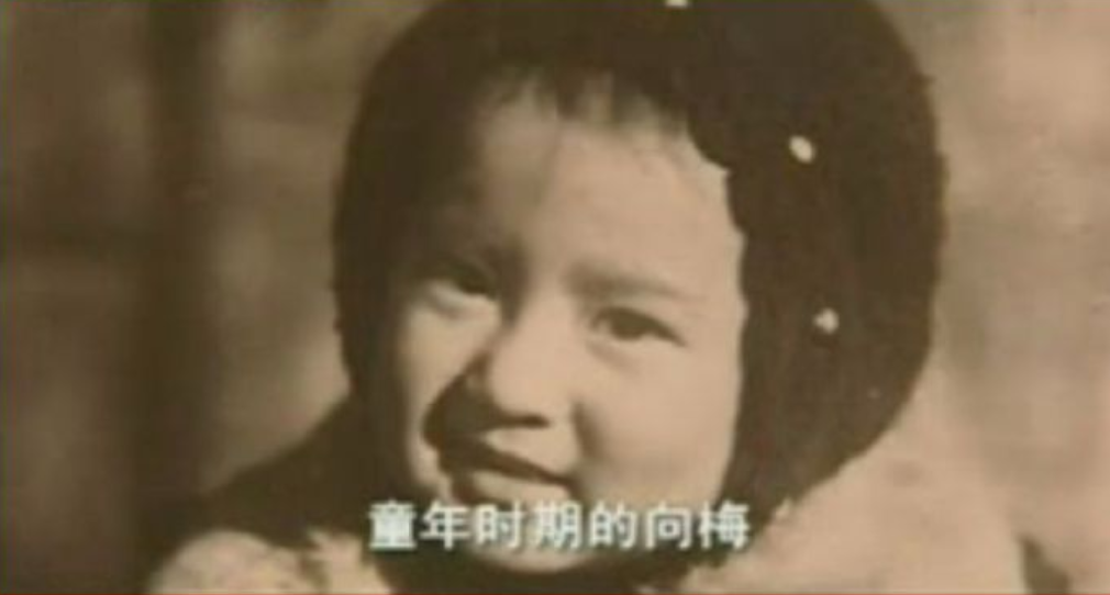 艺术家向梅：与丈夫恩爱一生对他有亏欠，儿子儿媳孝顺，晚年幸福