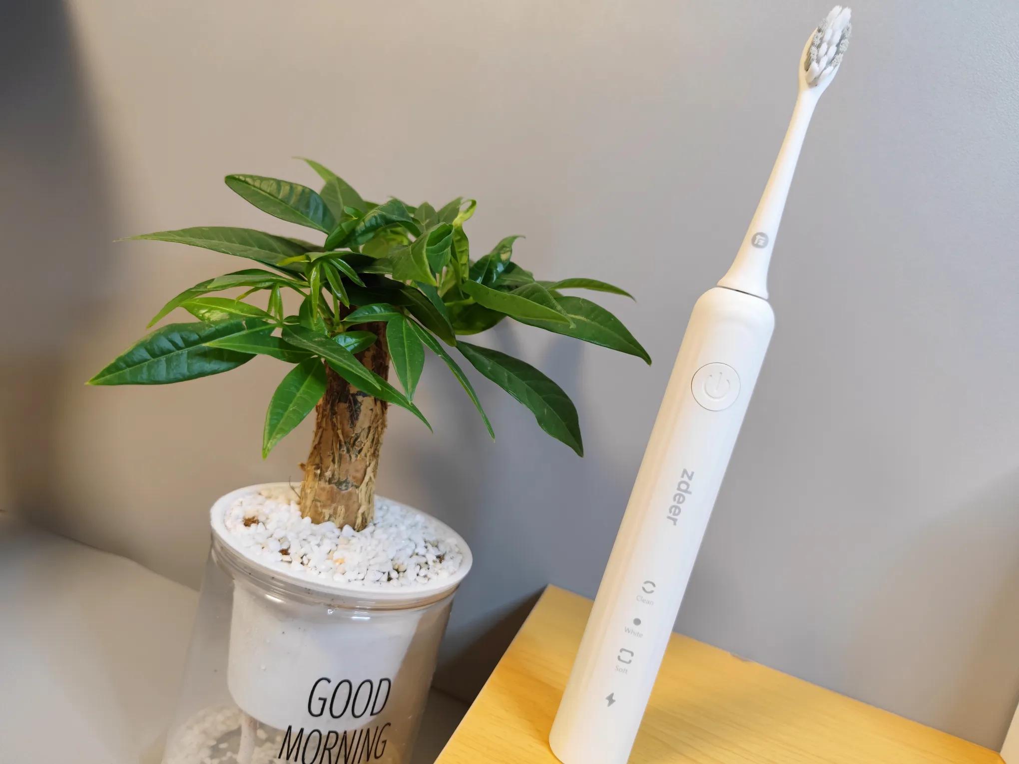 居家必备！电动牙刷小白看过来，这款左点电动牙刷你一定要知道