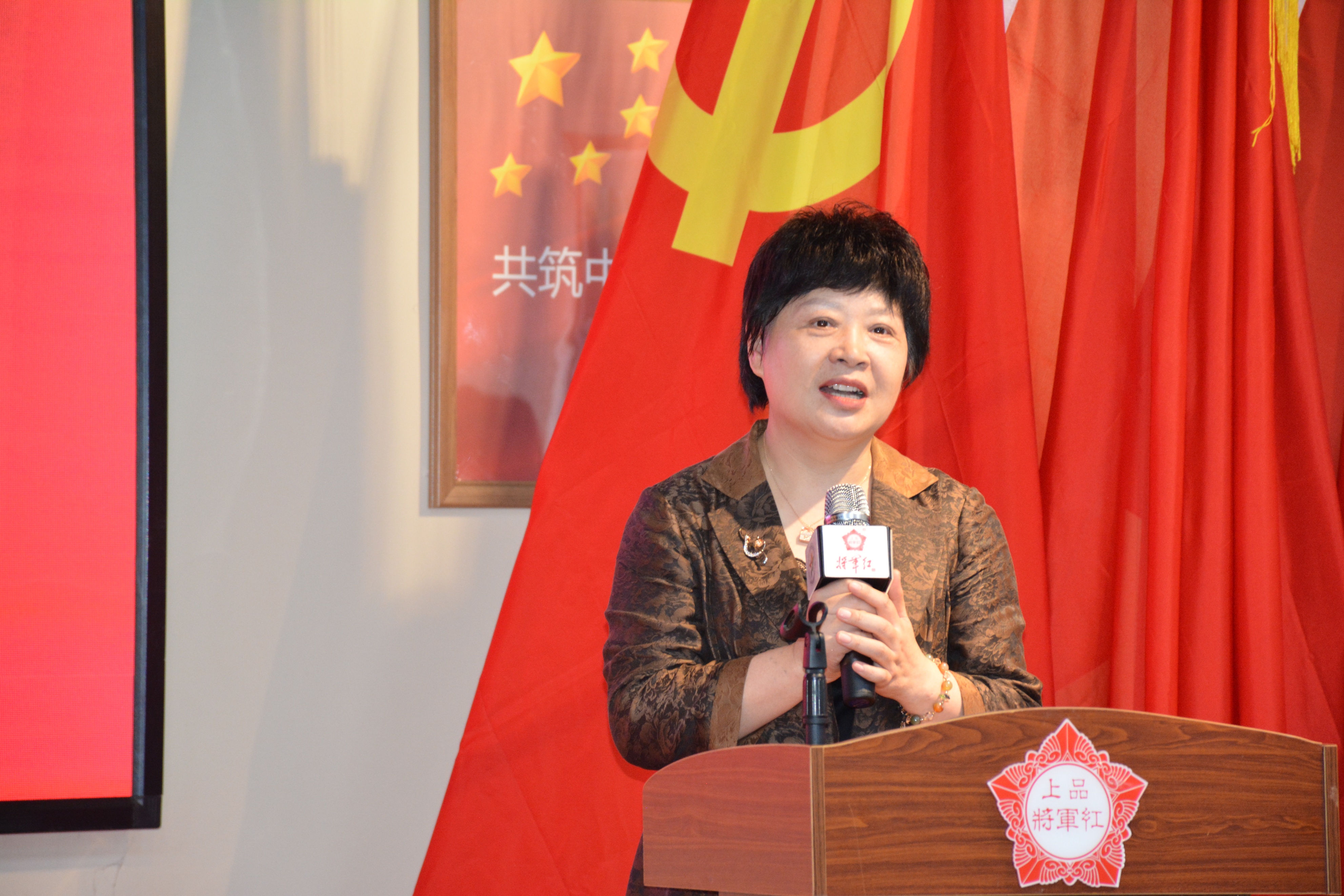 湖北省中小企业协会党支部“察民情解民忧暖民心”红安麻城行活动
