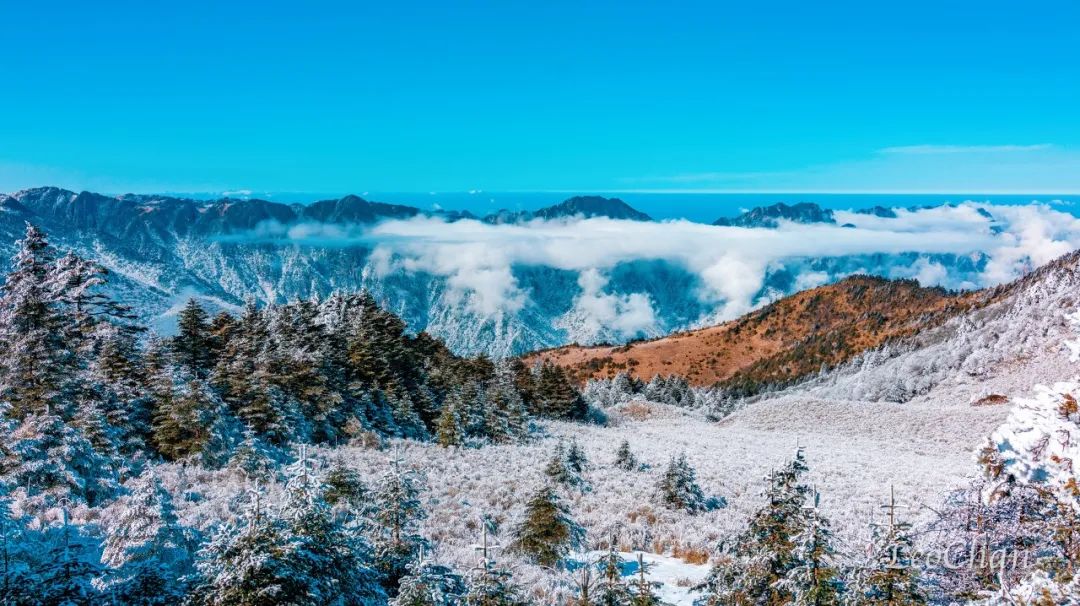 春日是良辰，白雪更添美好，一场春雪“南国雪都”刷屏网络