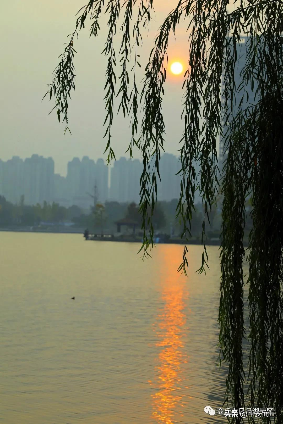【商丘美景】红橙黄绿,赋予日月湖无限美好