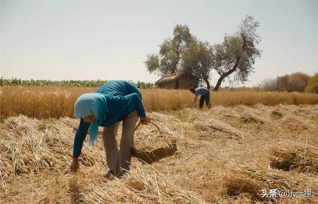 海清：新片扮演幸福版余秀华？