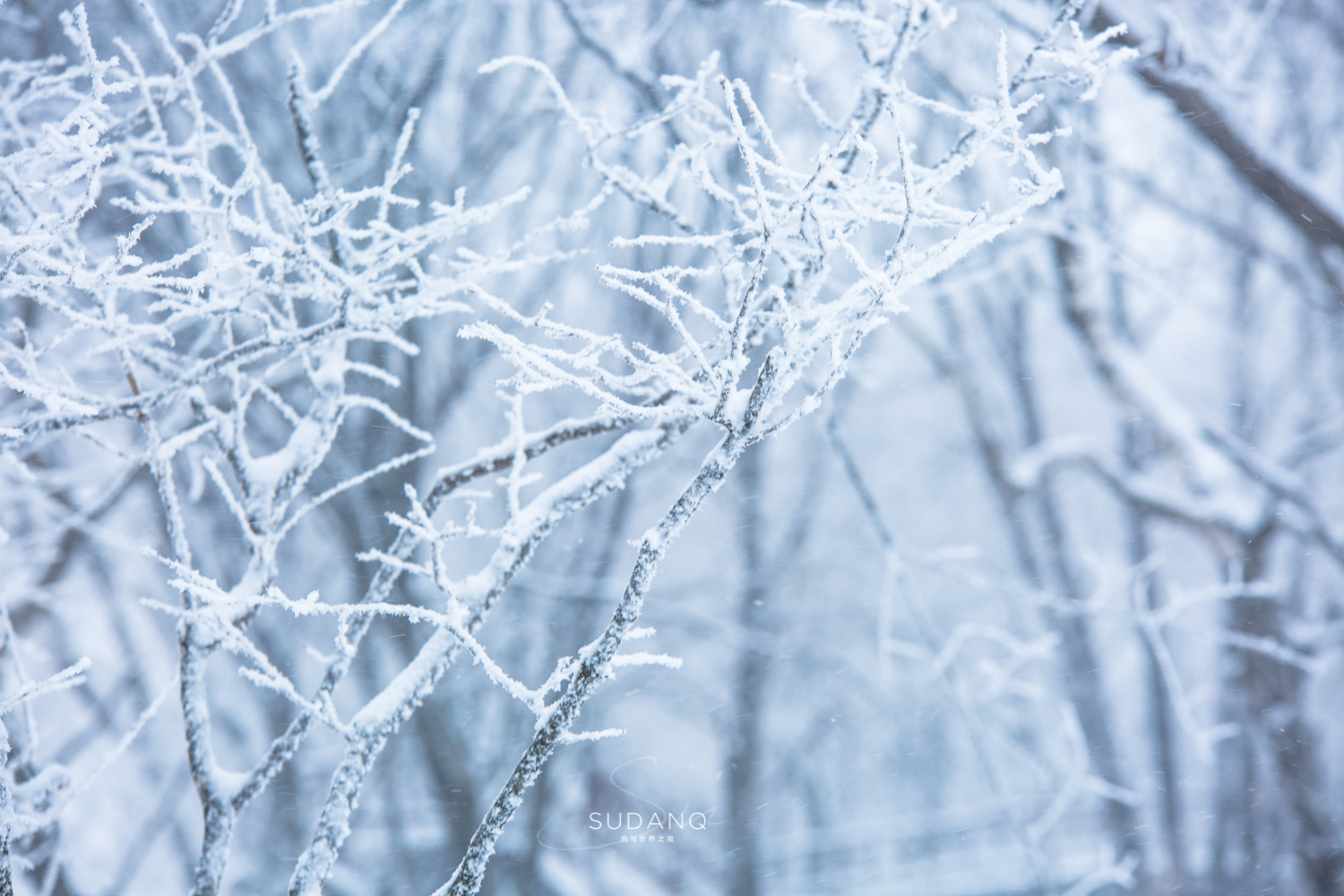 玩雪，还得去东北！吉林人的冬季胜景在东三省中算是“老大”吗