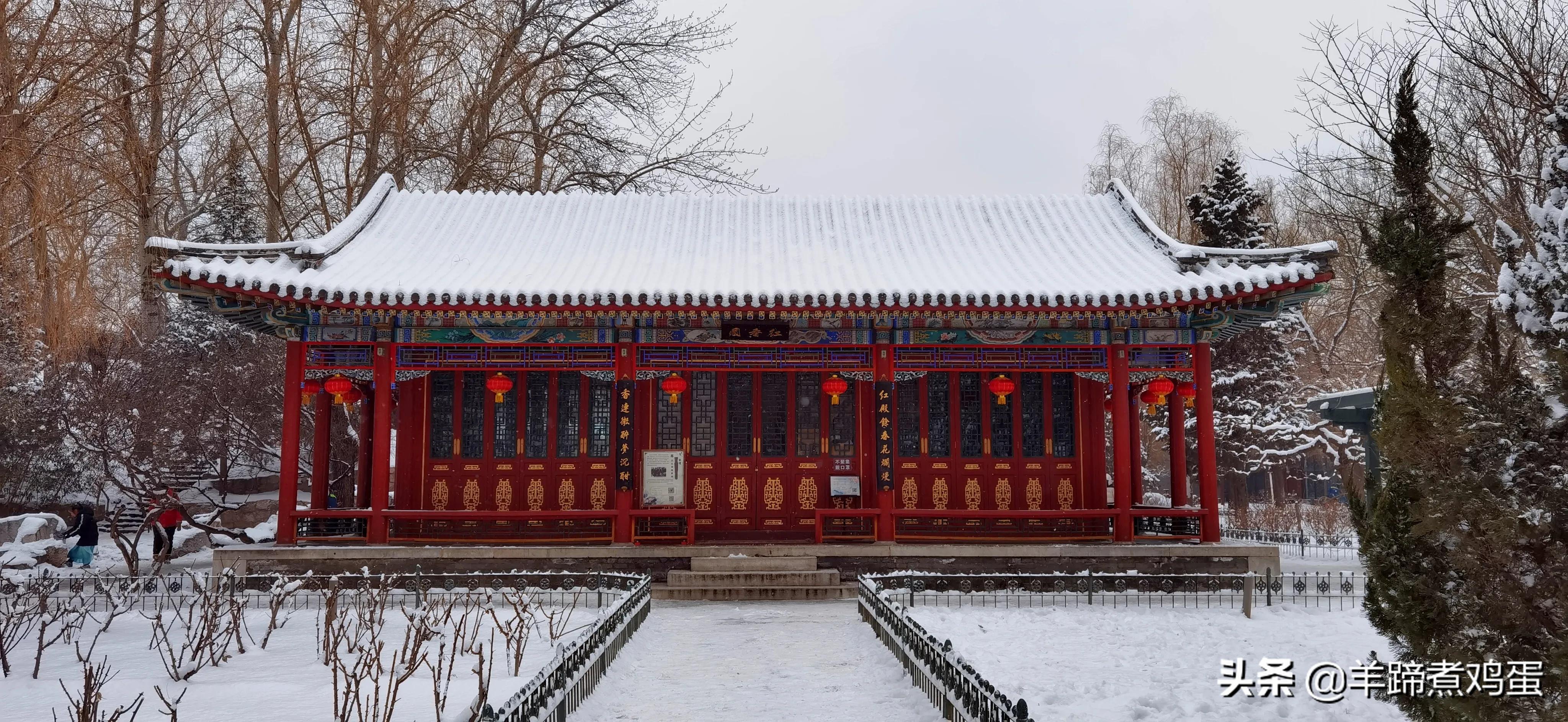 难览观园全画景雪覆腊梅一隅香——踏雪寻游北京大观园