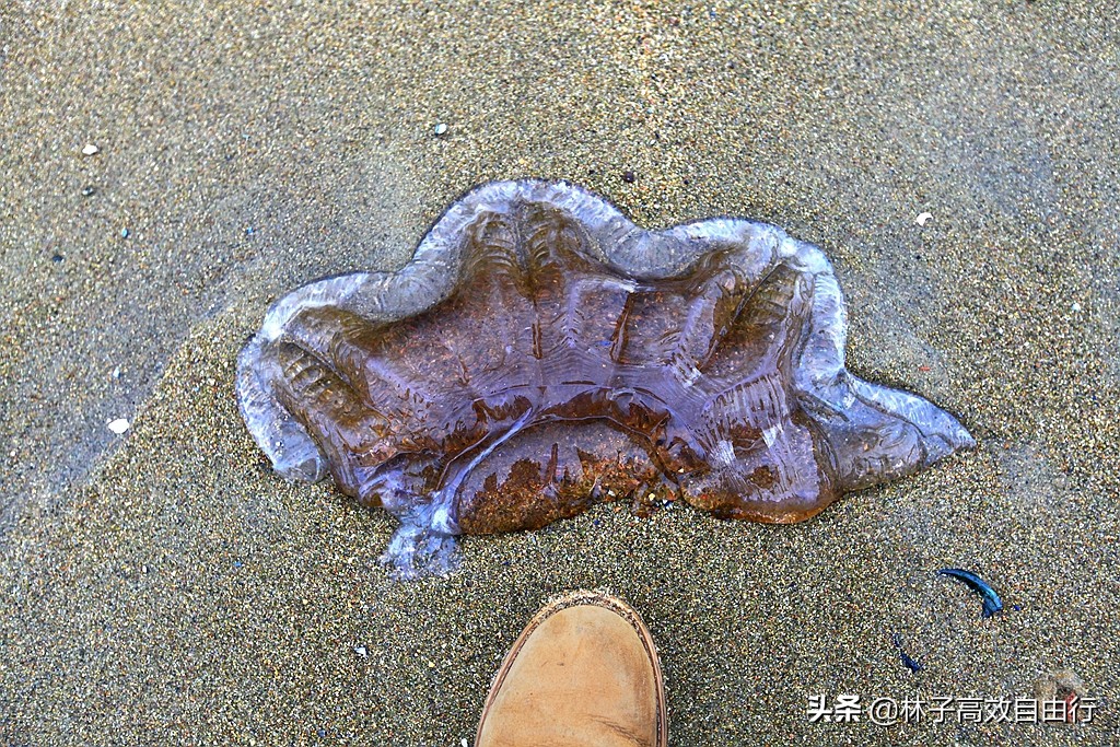 一个在俄罗斯追光成功的游客告诉你：除去运气，追极光其实并不难