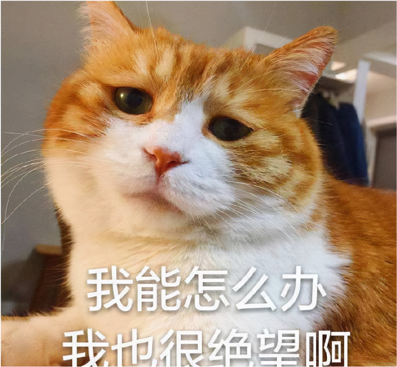 吉林女生数学卷走红，妈妈哭诉偏科很严重，网友：这也算偏科吗