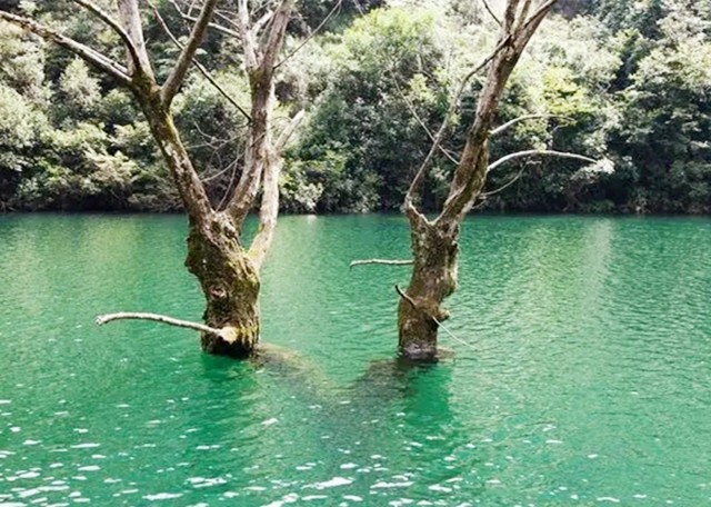 1992年浙江村民抽干水潭，发现千年宫殿，已成为4A级旅游风景区