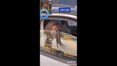 成天挖苦人，暴涨1.2亿粉丝！最没情商的网红，凭什么火过张同学