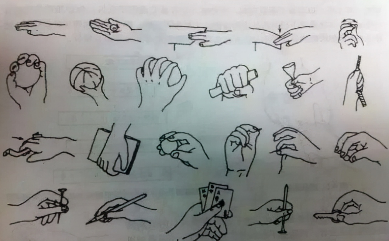 发现线条,形状和颜色的特性(三岁,四岁及五岁)_晶羽科技