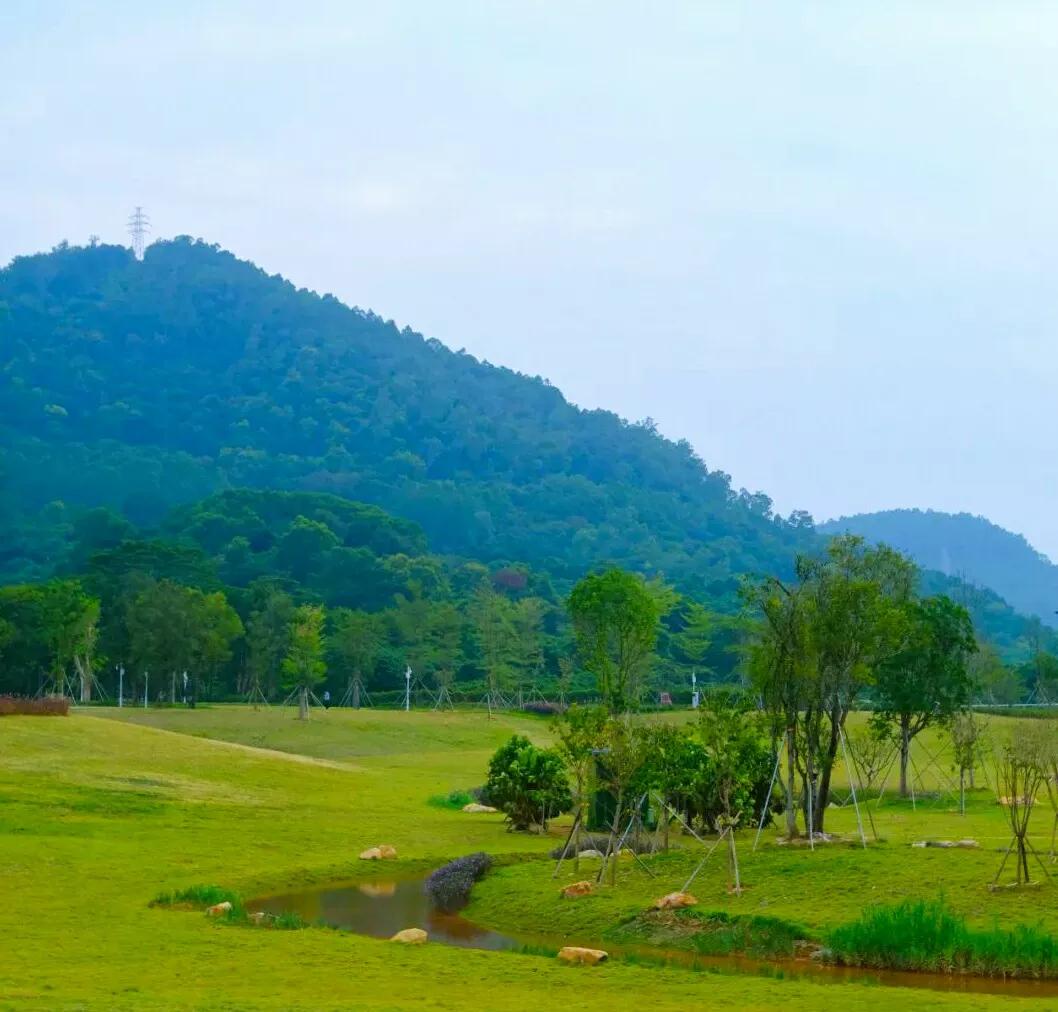 情主題公園【萬豐湖溼地公園】