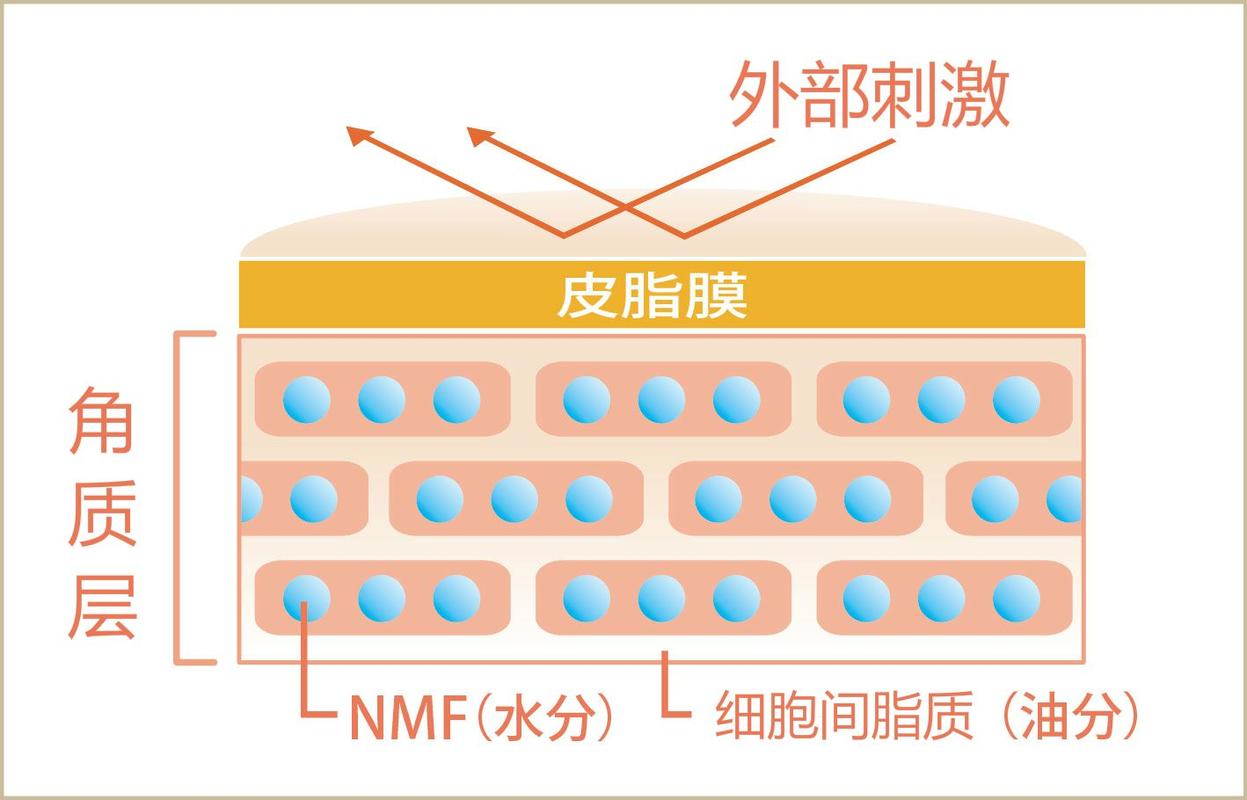 打篮球一周几次合适(一天洗一次澡和一周洗一次澡，哪个更健康？答案来了)