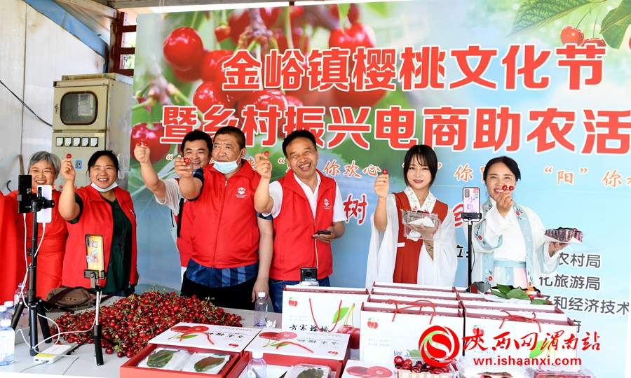櫻桃千萬家 唯品方寨紅 合陽第五屆“方寨紅”櫻桃推介會舉辦（高清組圖）