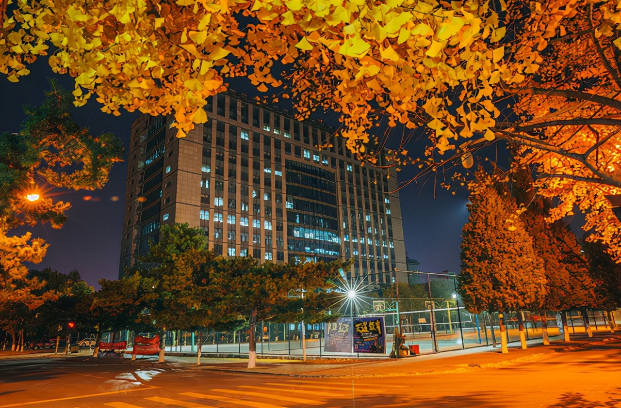 辽宁最好的大学（辽宁省高校排名）