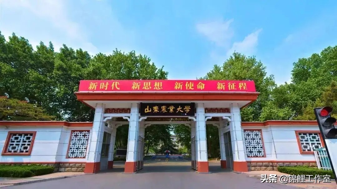 (1)山東農業大學,公立本科,位於山東省泰安市.