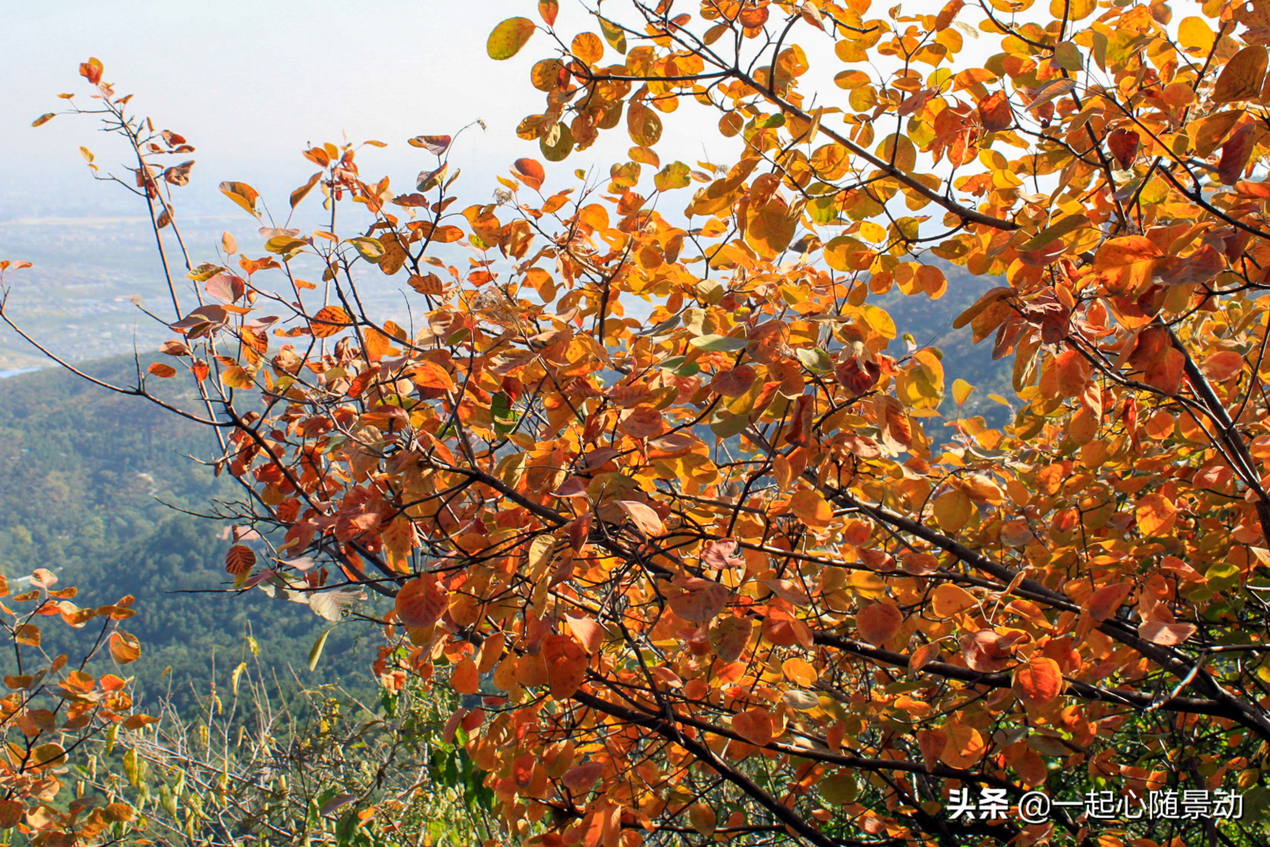 北京旅游必玩的六大景区，全去过才算真的到过北京，你去过几个？