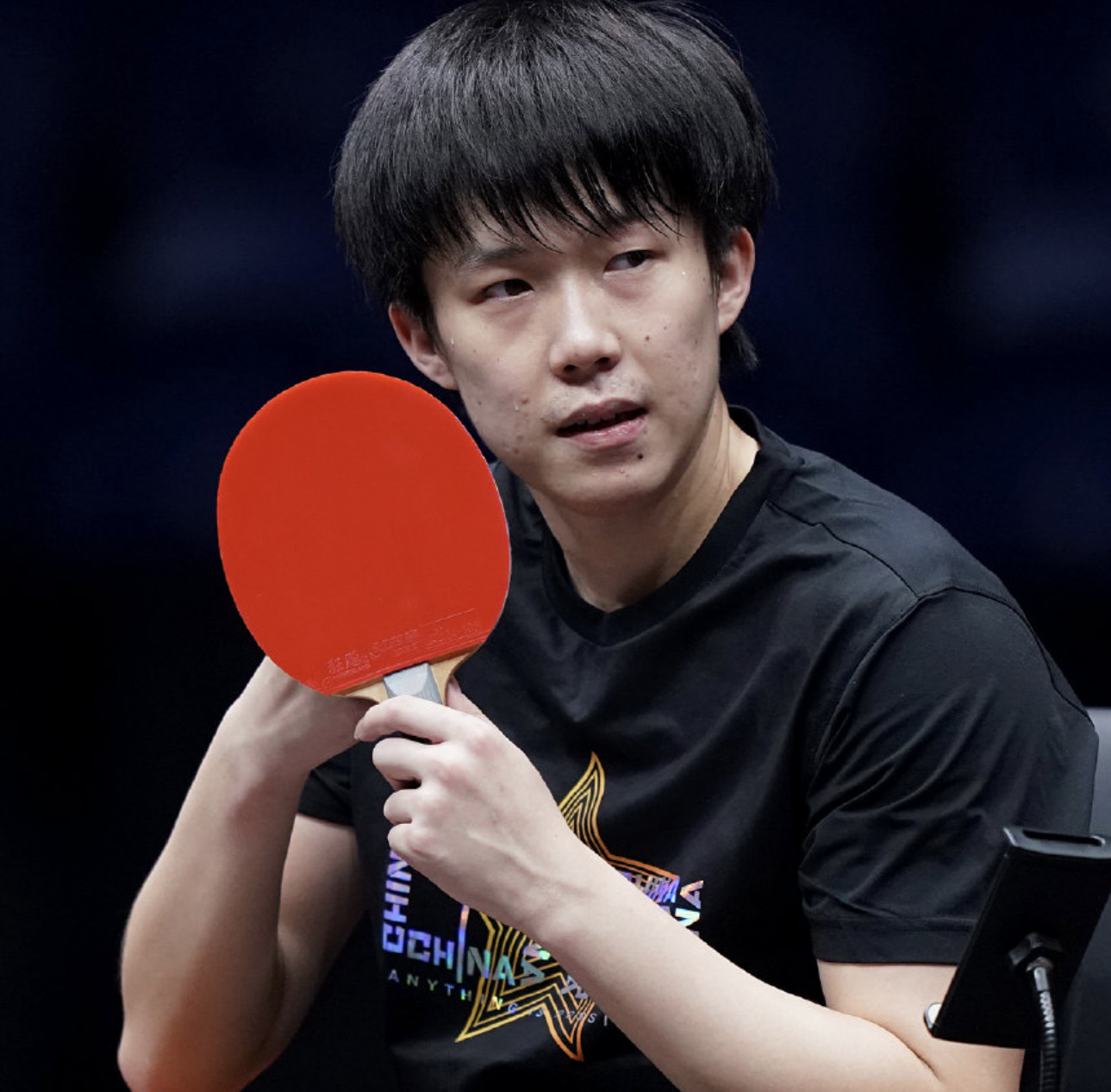 乒乓球男子世界杯樊振东马龙(国乒聊天门后首训!