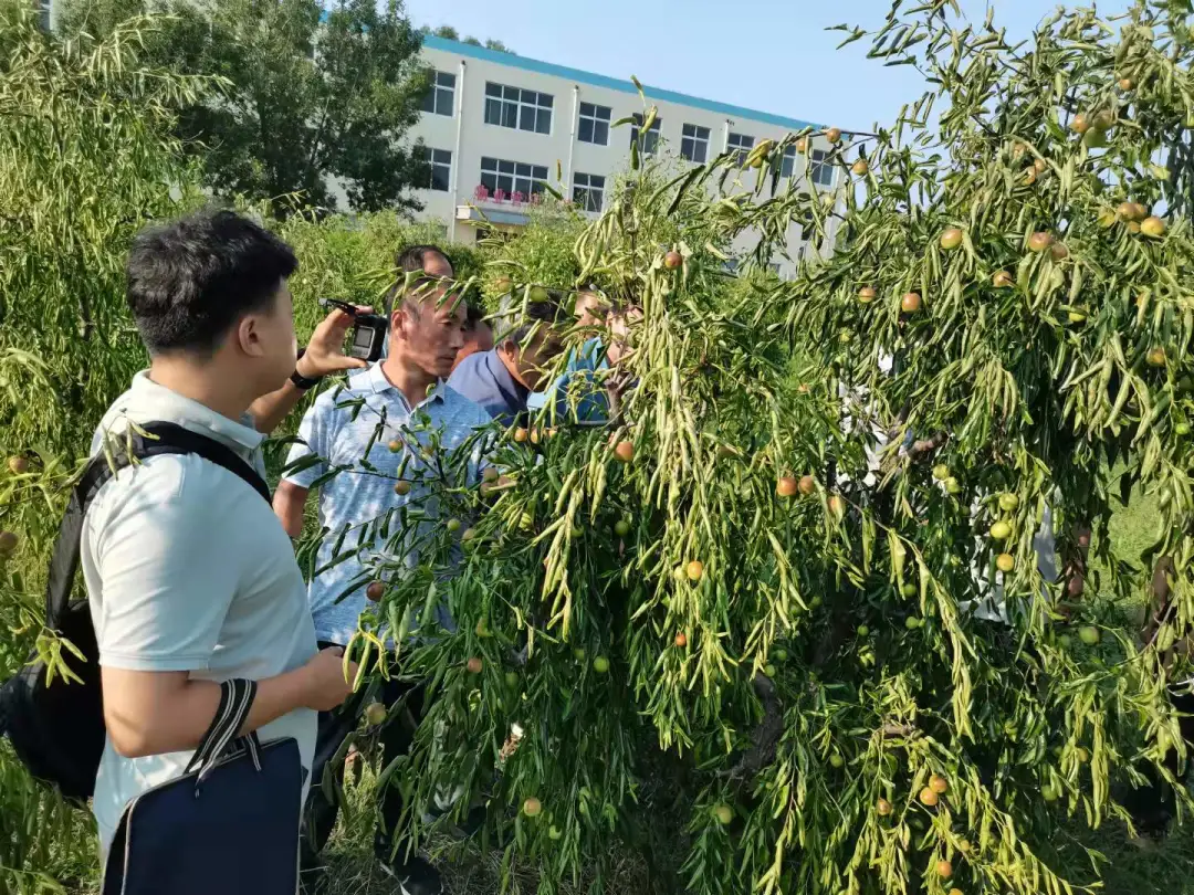 ���ϵ��� ��մ����37����ũ�����Ԫ�⳥��