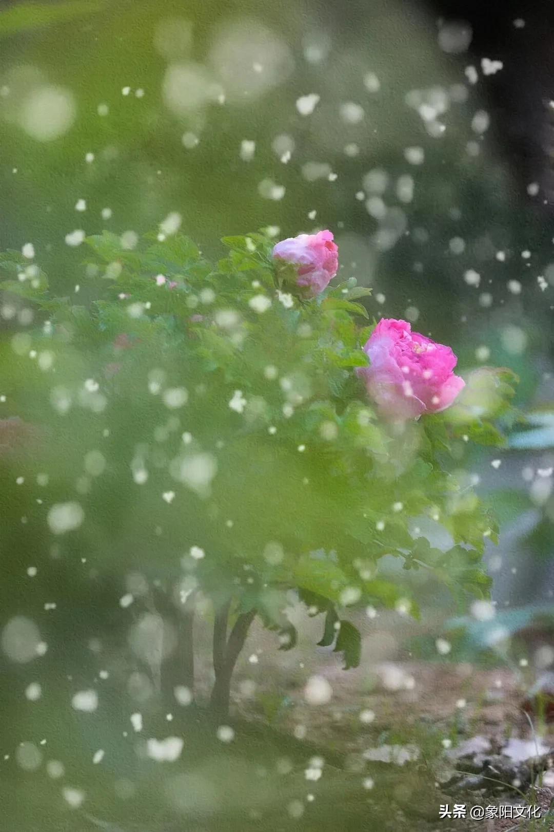 山花烂漫映春晖，万紫千红竞芳菲，野径云深香满衣。