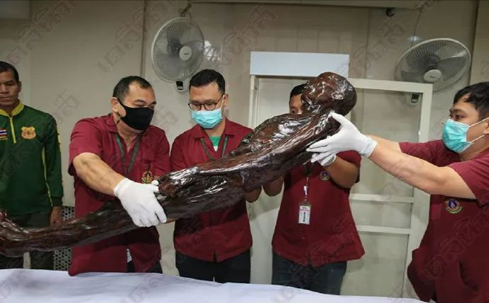 黄利辉木乃伊(黄金木乃伊) - 武陵观察网