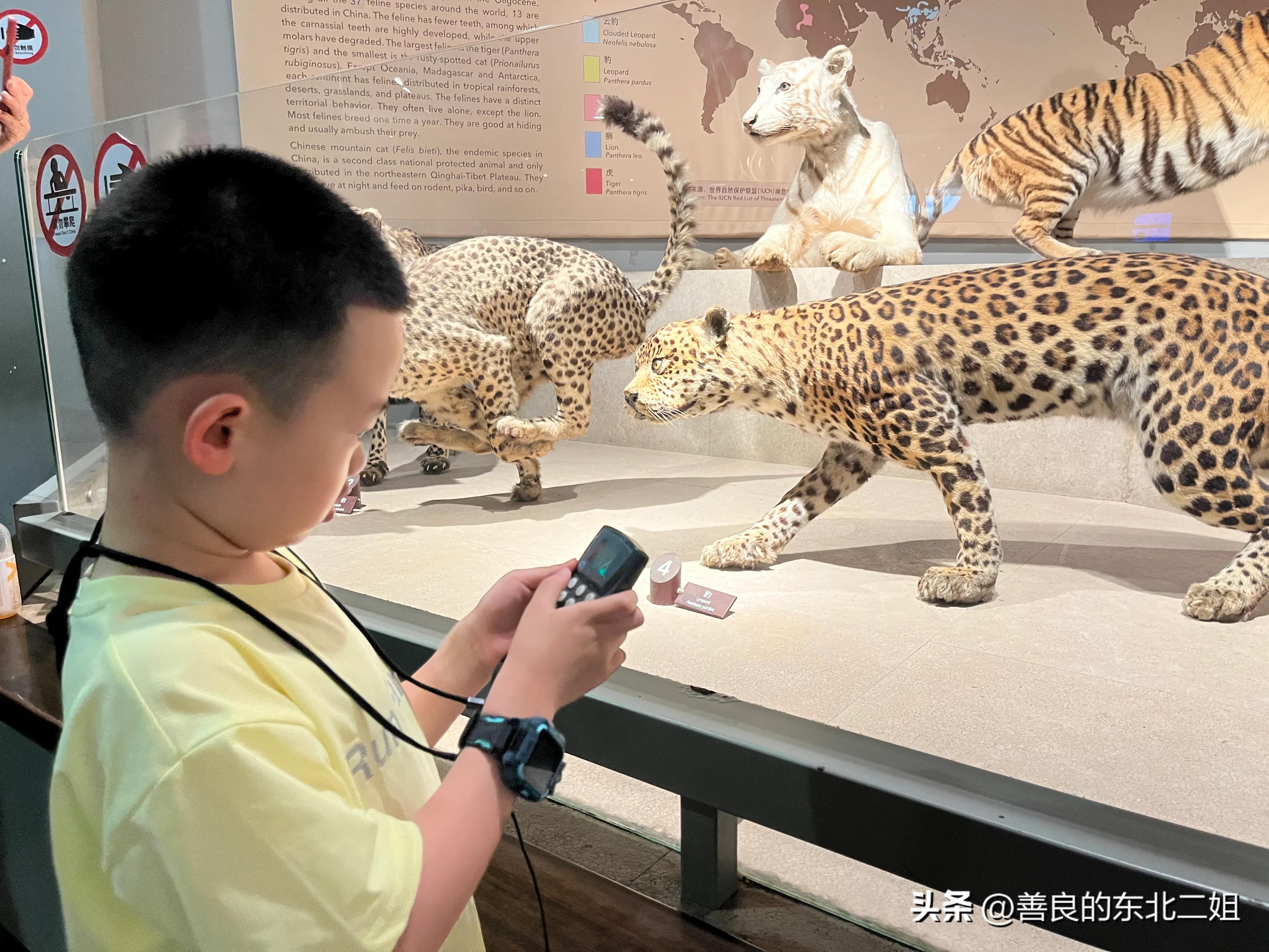 老阿姨和外孙的上海之旅：童眼看上海