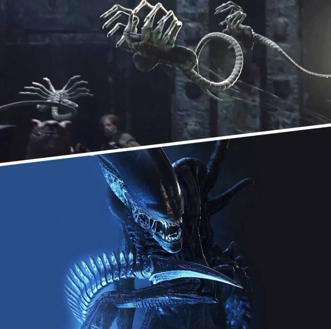 自然界中的恐怖"异形":寄生黄蜂