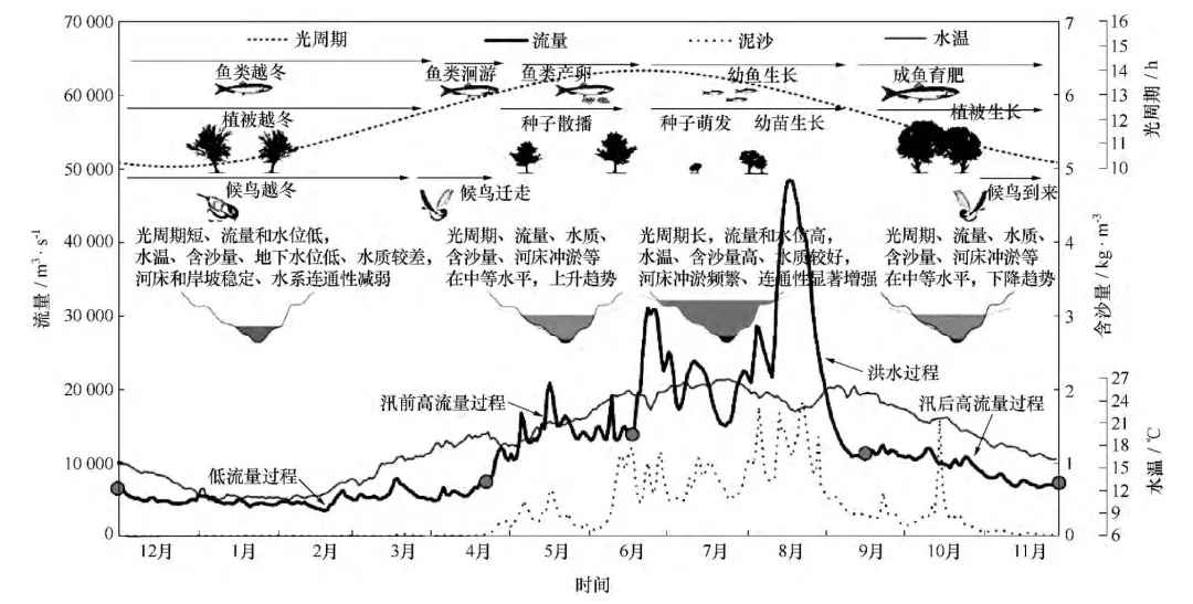 知识分享 | 水生态系统的五大生态要素特性