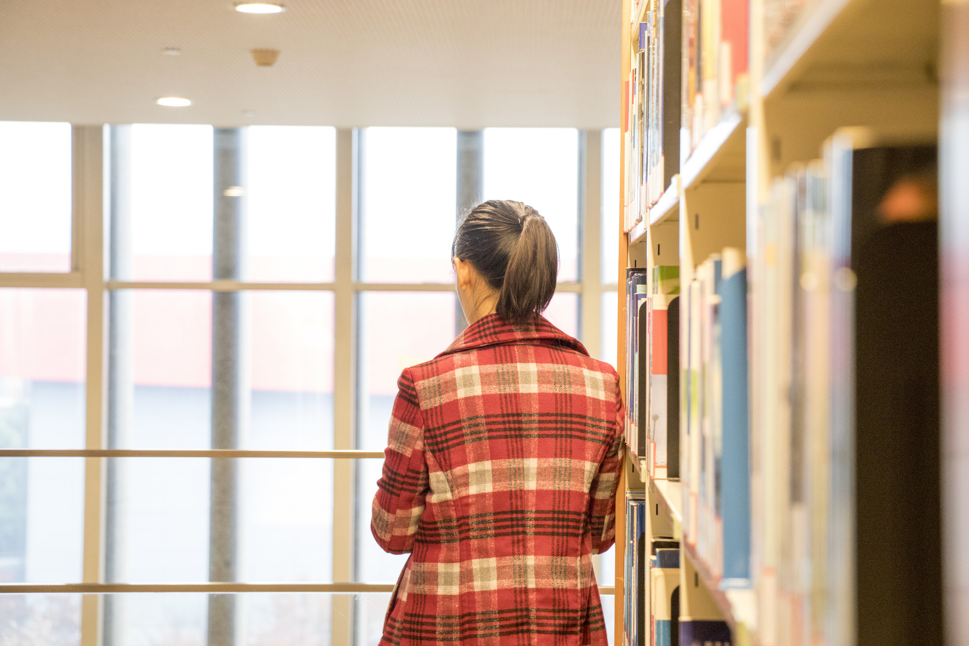 成人高考专升本和统招专升本差别有多大？你要怎么选？