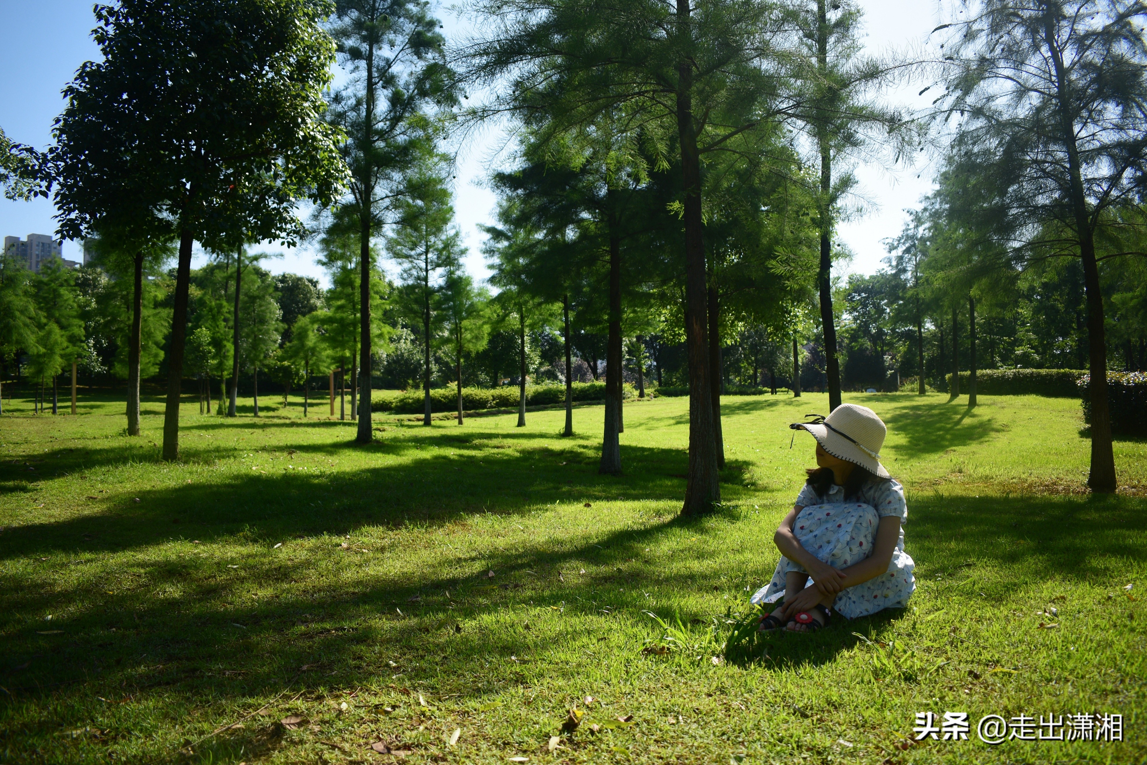 长沙也有一个“西湖”，就在岳麓山下，小孩来了就不想走