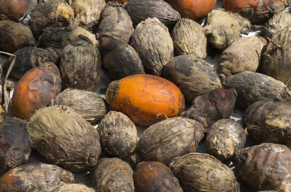 我掉入一个陷阱(6000万国人的噩梦,槟榔危害有多大,我们是如何掉入