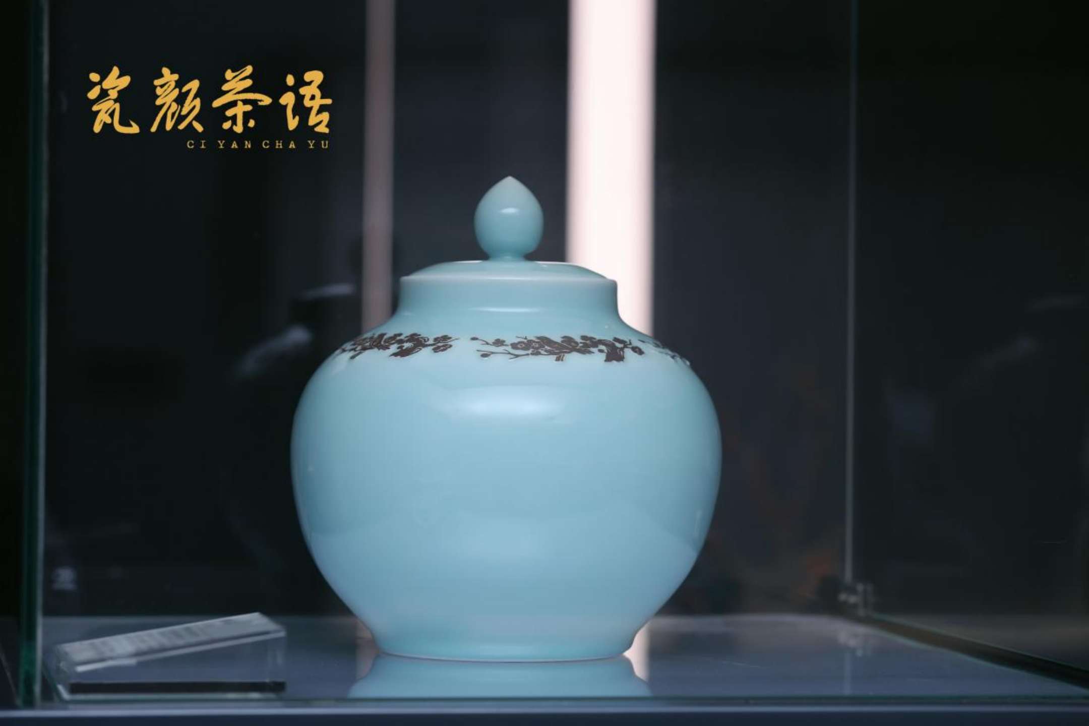 瓷颜茶语：张圣暄的瓷茶文化梦想