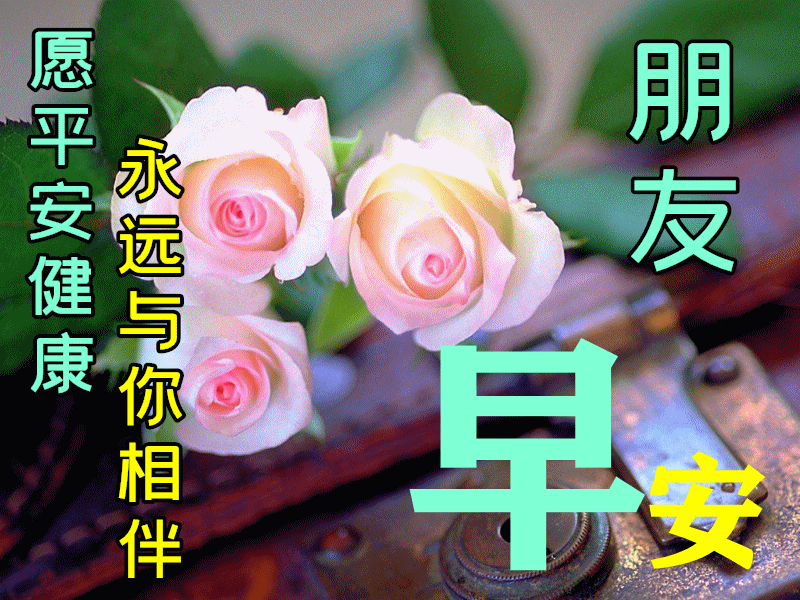 2月日正月二十最新特漂亮早上好图片 最美风景早上好美图大全 有关花的图片大全图片 佳辰