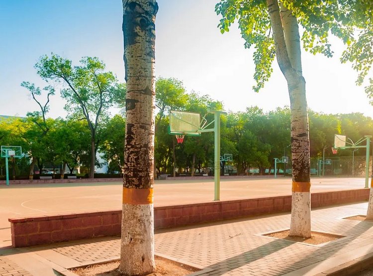 近日，北京“超暖”大学引发关注！食堂提供夜宵、开通外卖，还免费送流量！