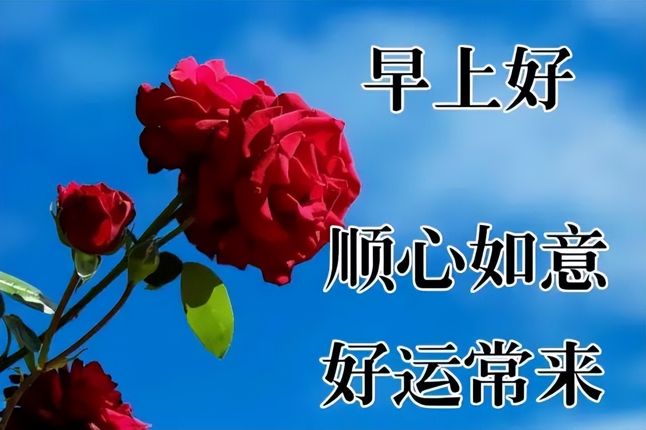 早安祝福问候带字图，正能量早上好阳光语录大全