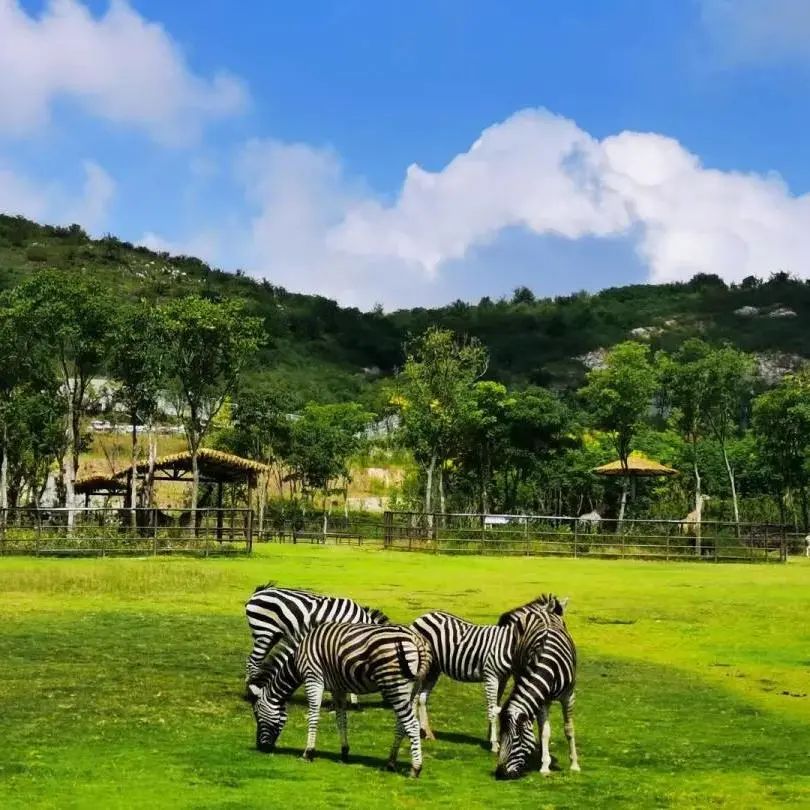 有了这个，在江苏自驾游逛尽免费景区