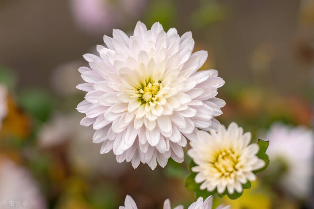 清明节：致天堂里的父亲