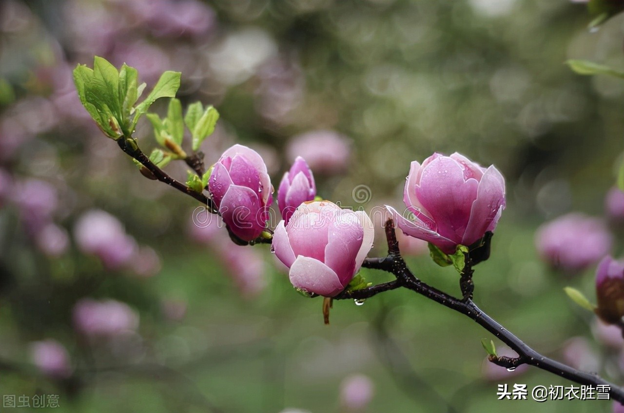 仲春春雷古诗六首：春雷一声发，惊燕亦惊蛇