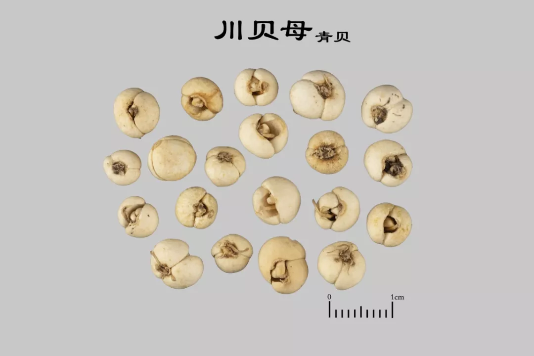 咳咳咳！高三生咳到晚上睡不着，中医一份“甜品汤”化解难题