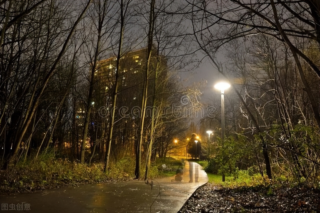 夜雨:寂静的夜,幽静的雨